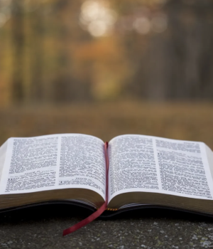 Screenshot 2025-10-17 at 3.41.13 PM